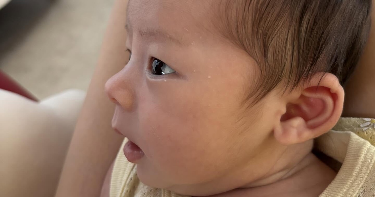 「ママさん天使産みましたね!?」　鼻が高いと言われる赤ちゃん→7カ月後……　成長した姿に「将来どうなっちゃうの!?」「モテまくるかも」（1/2） | 育児 ねとらぼ