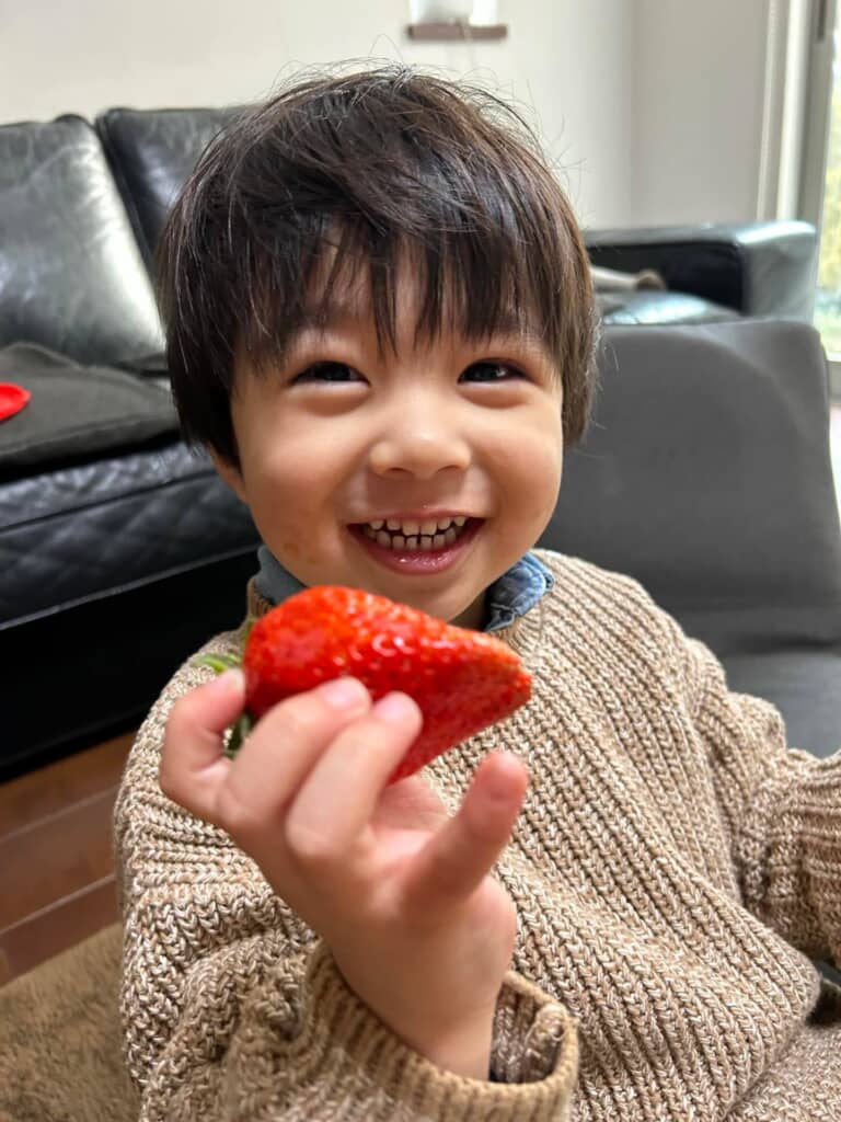 すくすくと成長しています