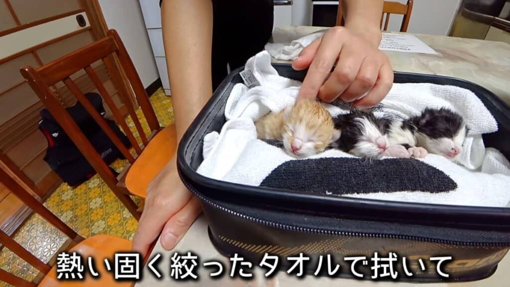 急ぎ保護をして温めます