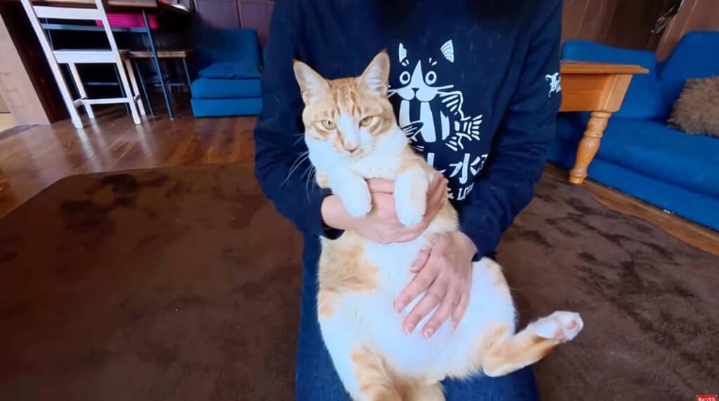 幸せそうな姿に一安心です