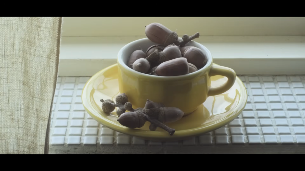 公園で拾ったどんぐりはコップに入れてディスプレイ