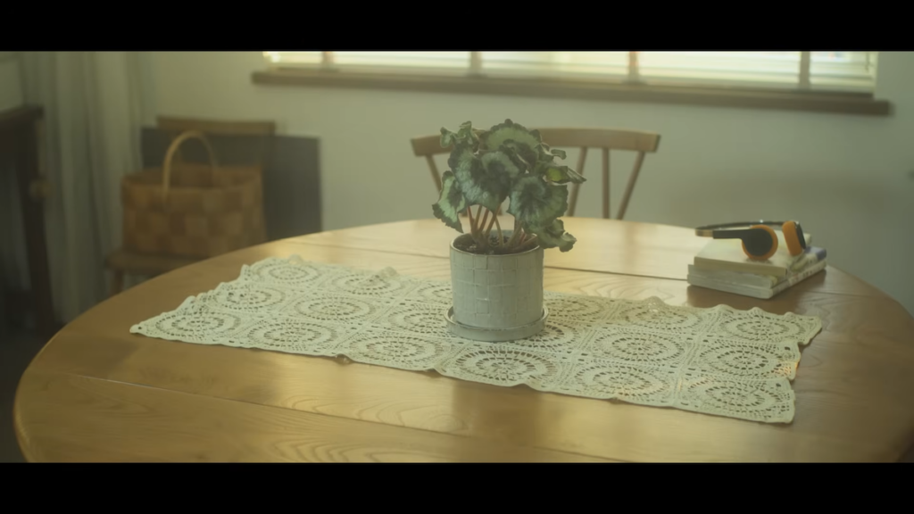 ドイリーは植物の下に敷いてかわいさをプラス