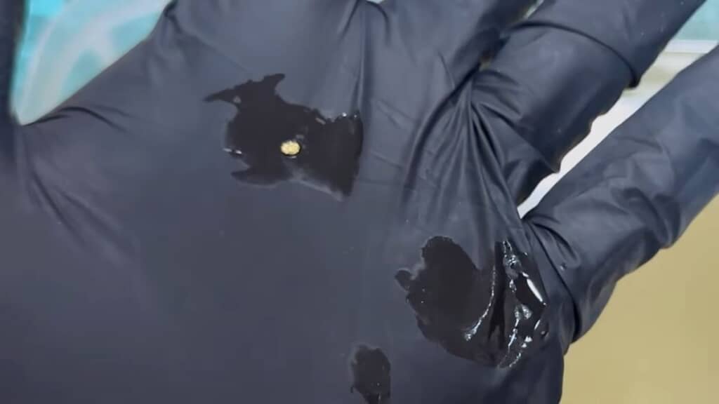 回収した大粒の砂金