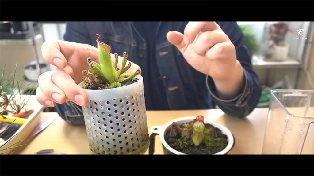 以前はペン立てを使っていました