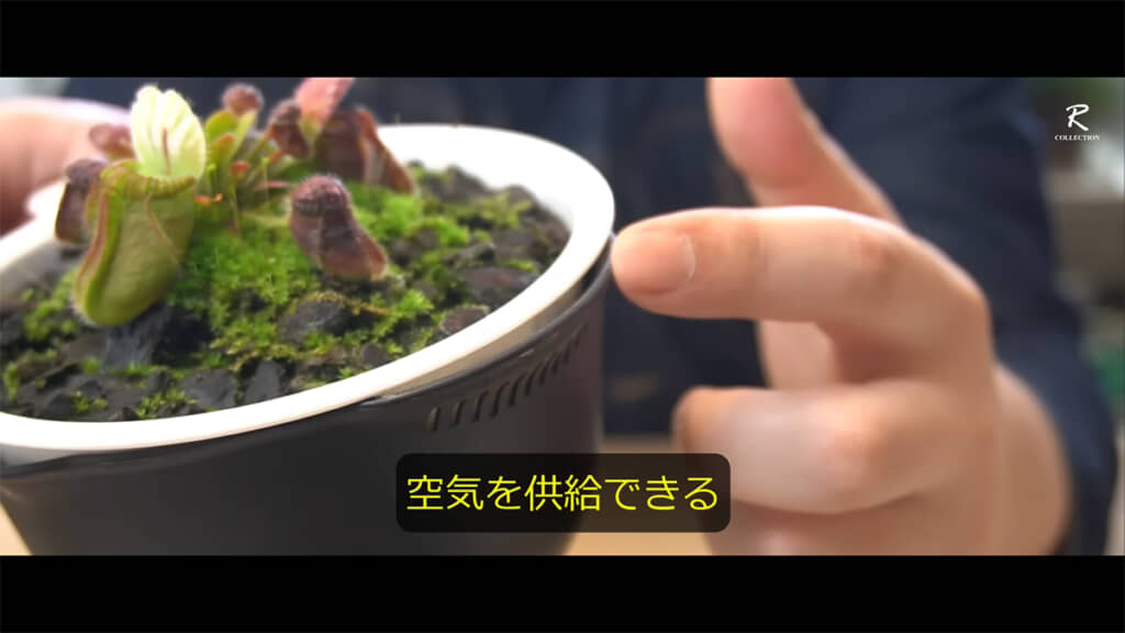 ザルには用土の腐敗を防ぐ効果が