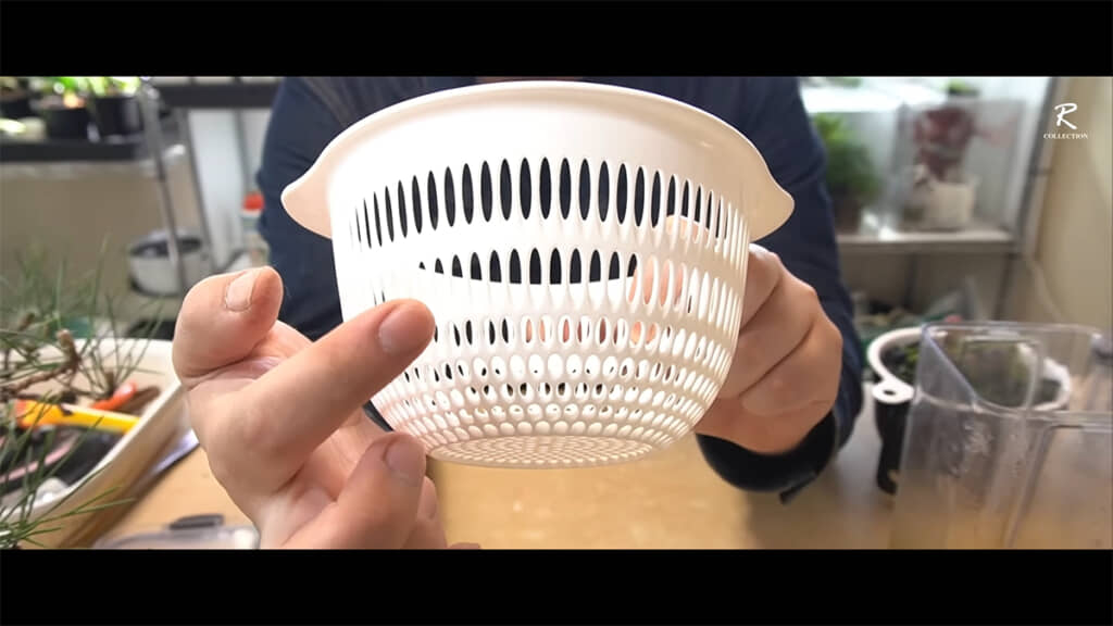 今回のザルは根へのダメージを軽減できそうです