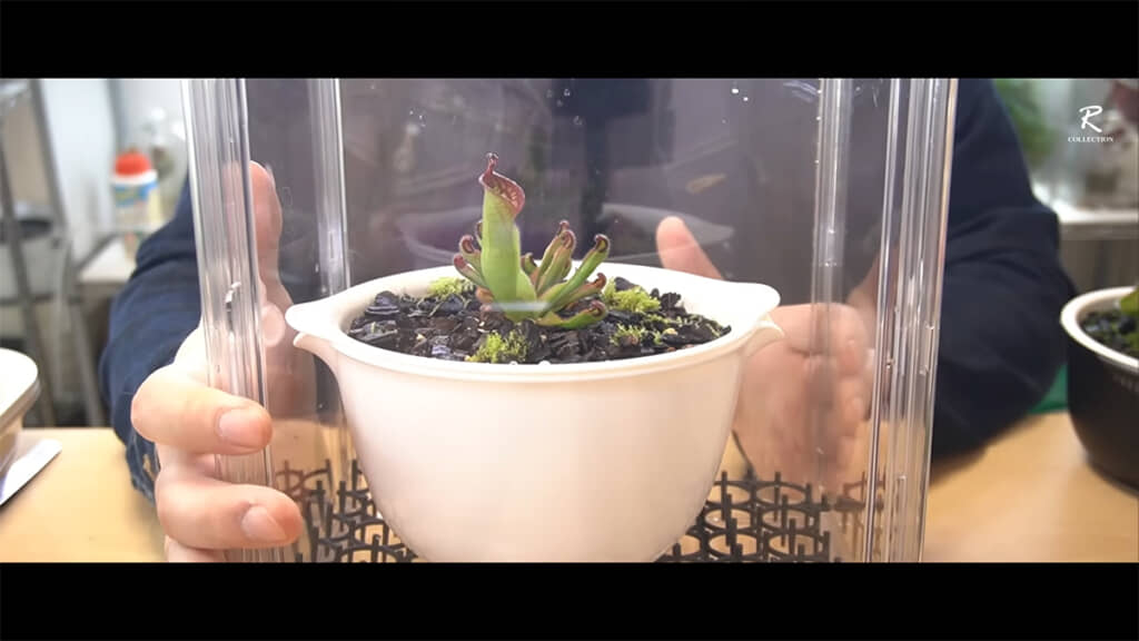 ケースに入れたところ、ピッタリサイズです