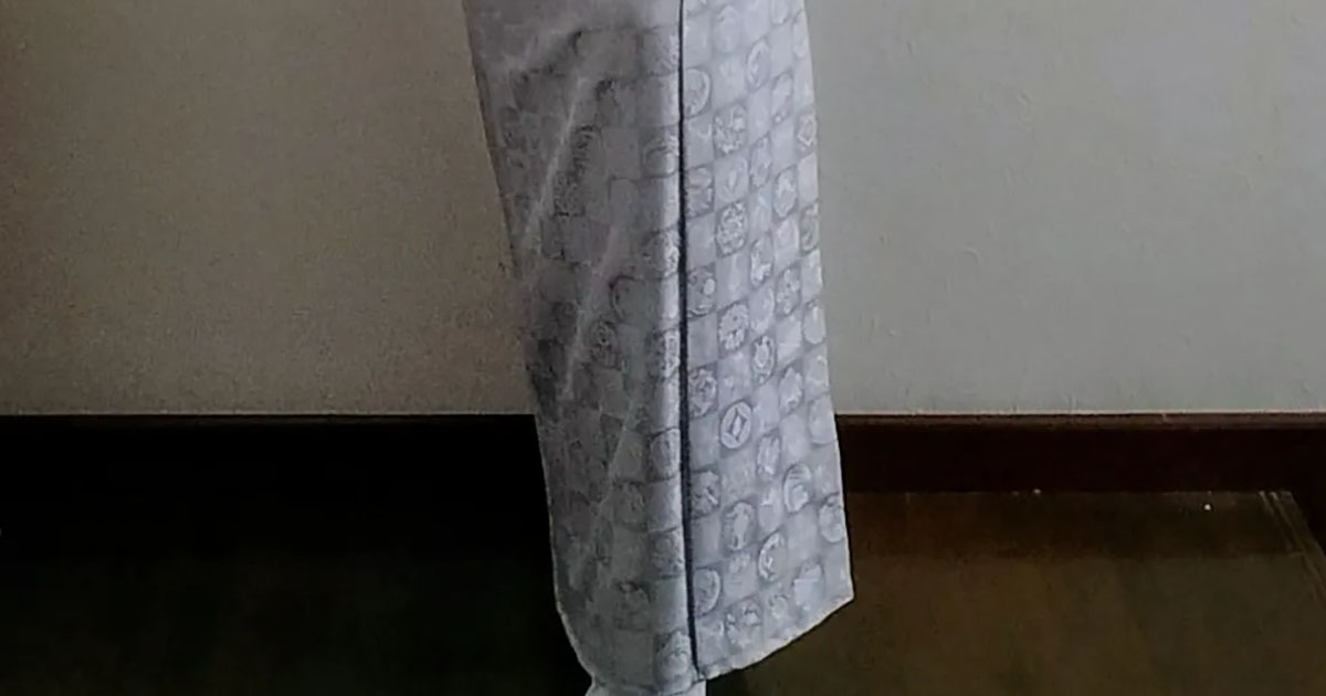 娘がインフルで卒園式欠席→ママが披露した“まさかの着物姿”に「隠しきれない美しさ」「なぜかマッチしてます」（1/3） | 女性 ねとらぼ