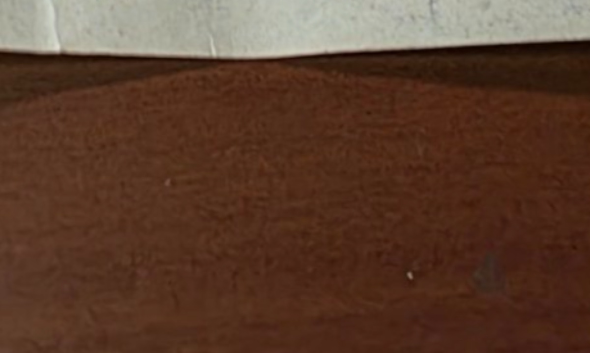 自転車屋に「空気入れて～」とやってきた客→店主が「100円です」と伝えると……　まさかの光景に「粋だな～」「そんな紳士になりたい」（1/3） | ライフスタイル ねとらぼ