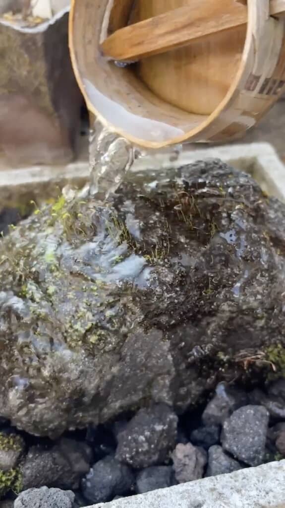 1000日目もいつもどおり水かけを行いました