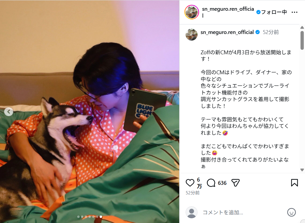メガネ姿で犬と触れ合う目黒蓮さん。
