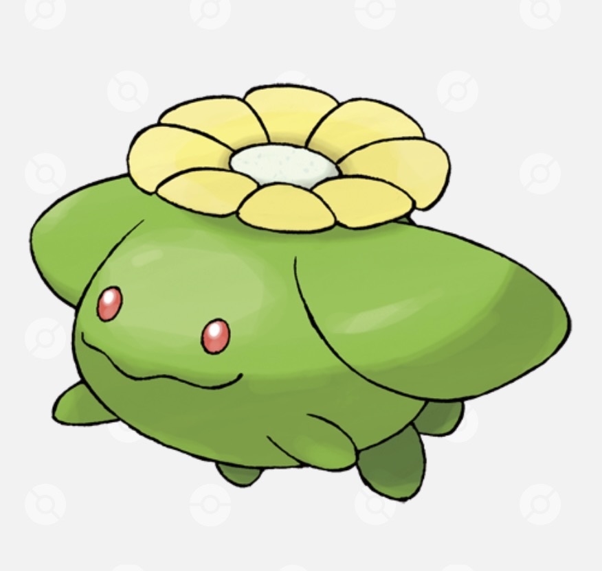ポポッコ（画像出典：ポケモンずかん）