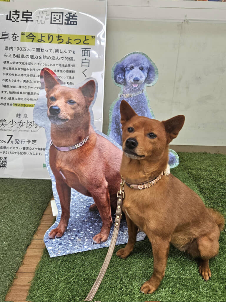 もしやドッペルゲンガーでは? というくらいそっくりなわんちゃん