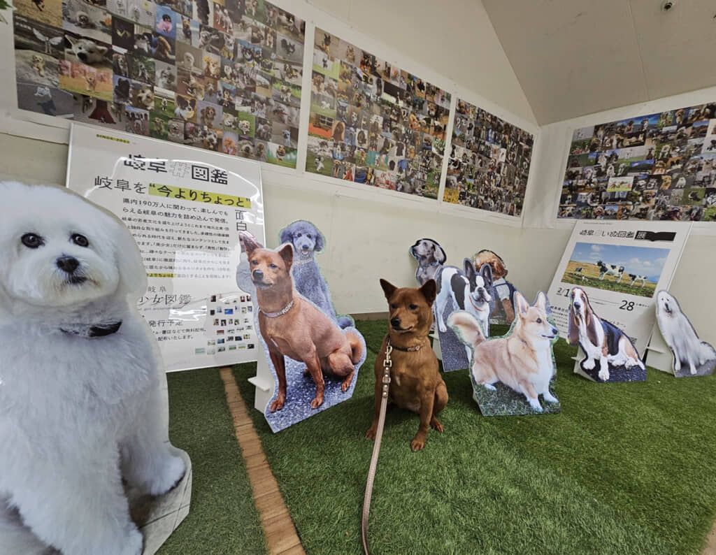 愛犬を連れてわんちゃん写真集イベントへ