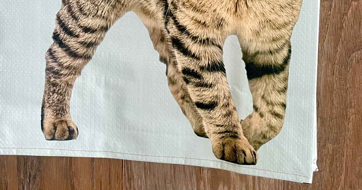 欲しい欲しい欲しい」 約2時間で完売した猫バッグ→“たまらん仕掛け”に
