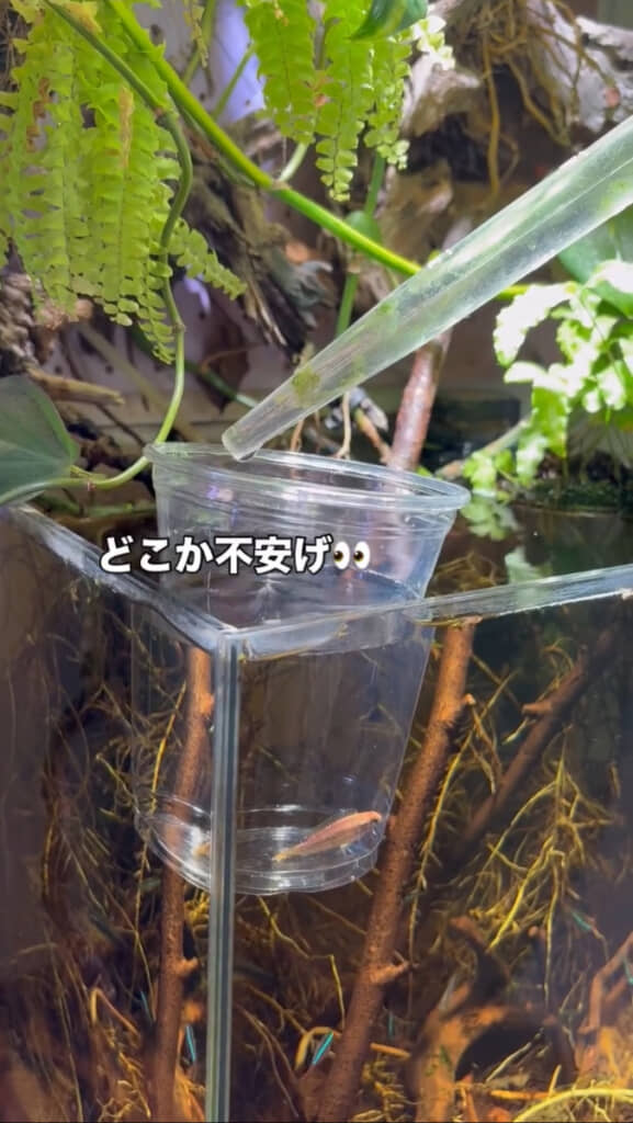 新しい環境に緊張気味？