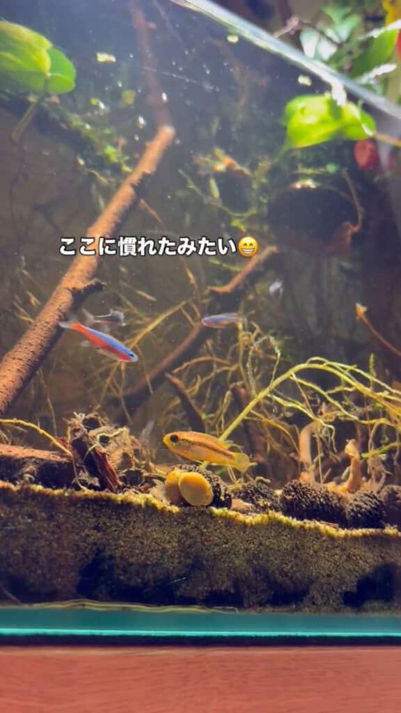 すっかり慣れた様子！