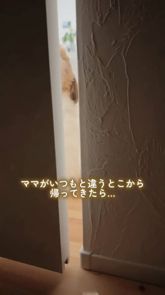 しゃがんで帰宅してみたら……