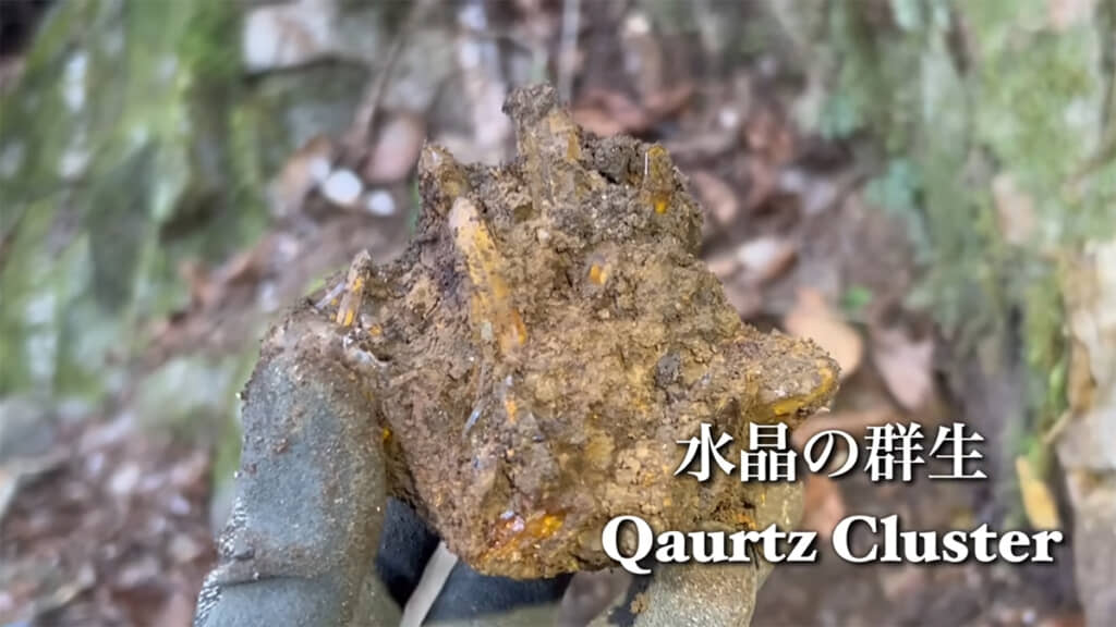 クラスターが出てきました！