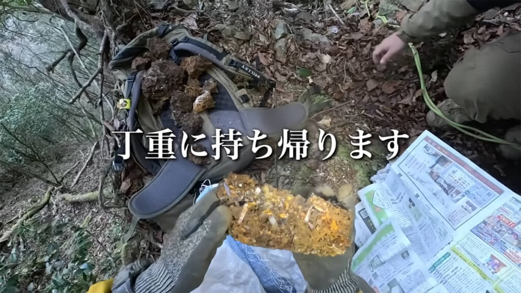 採取した水晶は丁重に持ち帰ります