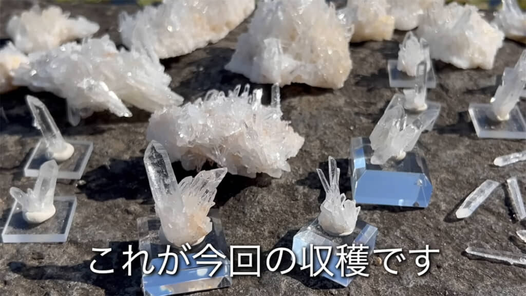 洗浄した水晶たち