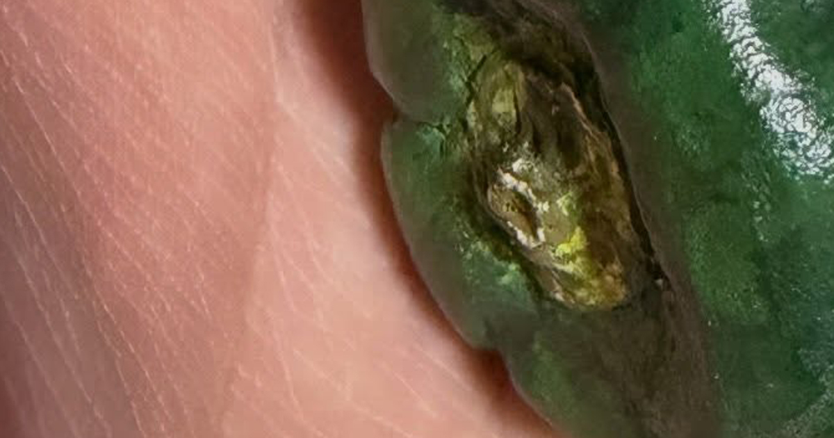 「なんでこんなとこにピーマン落ちてんの！」→拾ったら……「マジですかコレ!?」　“予想外の正体”に思わず仰天（1/2） | 育児 ねとらぼ