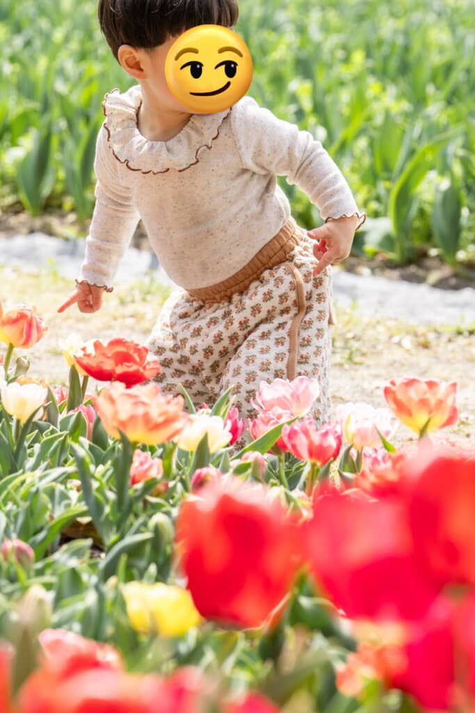 妖精さんみたいですね