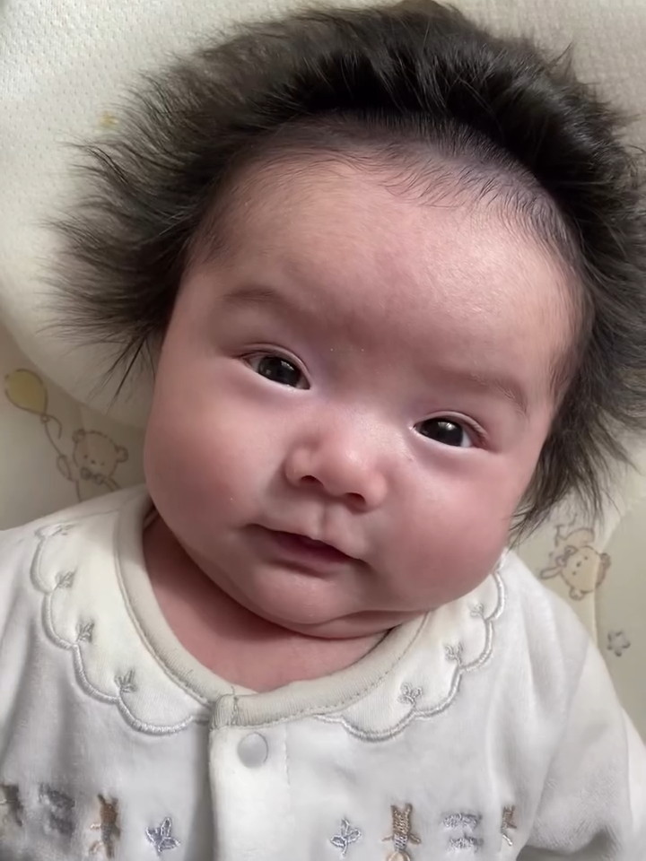 ライオンキングだ……！