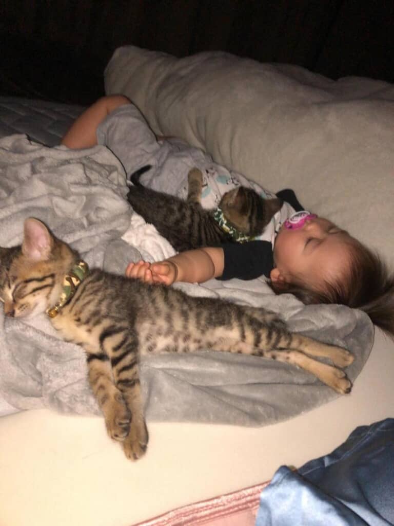 赤ちゃんのころから一緒に過ごしていました