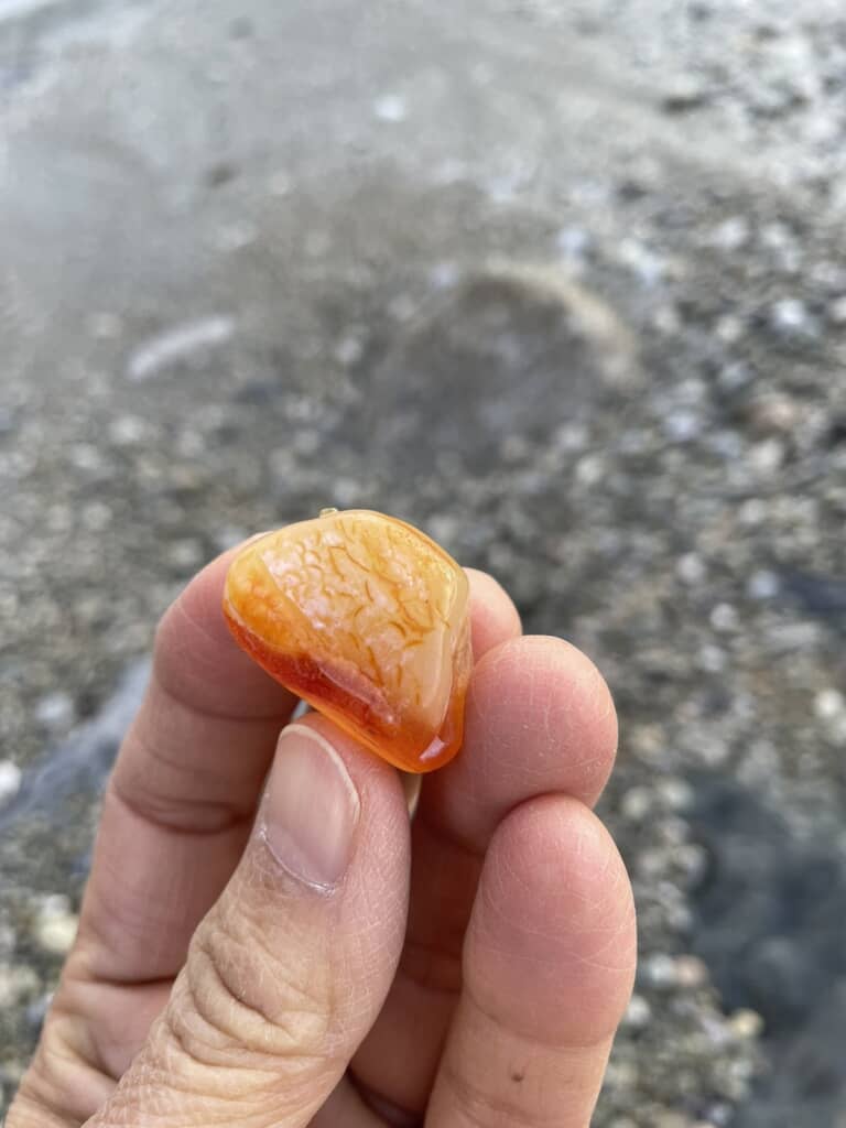 色の濃い部分と淡い部分の境が明瞭な石