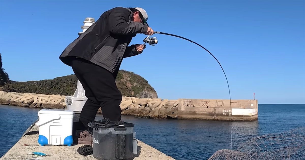 堤防で釣り中、竿が限界寸前に……「マジかよ」　海から現れた“規格外の大物”に仰天「これはデカイw」「ビビりました」（1/3） | その他生き物 ねとらぼ