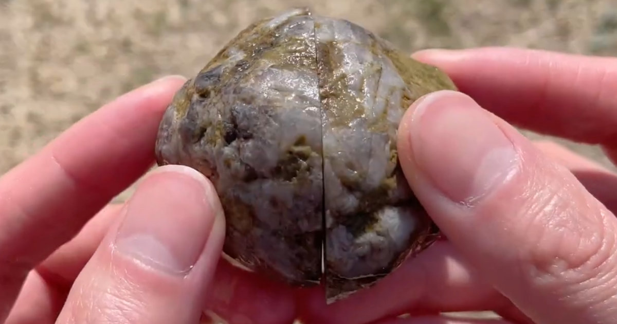 海で拾った“ただの石”11個をスパッと切ってみた→驚きの中身に「全然違う!!!!」「こういうのが見たかった」（1/3） | ライフスタイル ねとらぼ