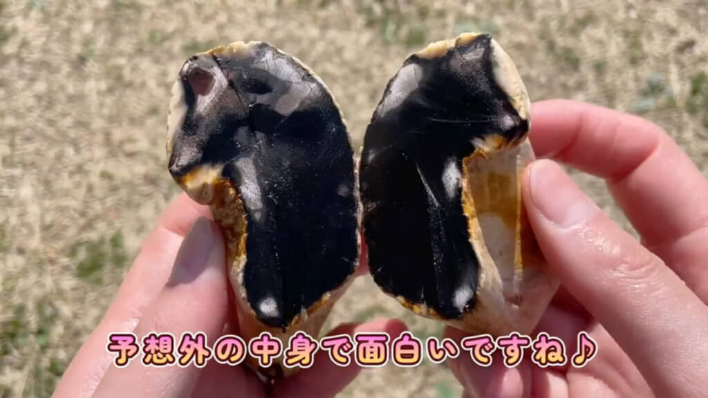 珪化木は予想外な断面に！