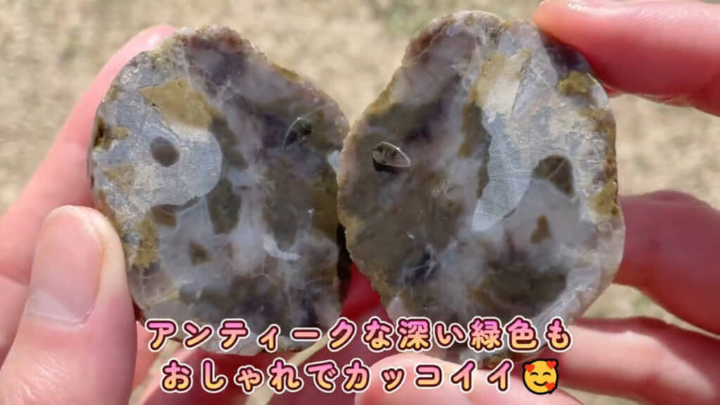 海で拾った石の断面。外観とはまた違った印象の中身が現れました