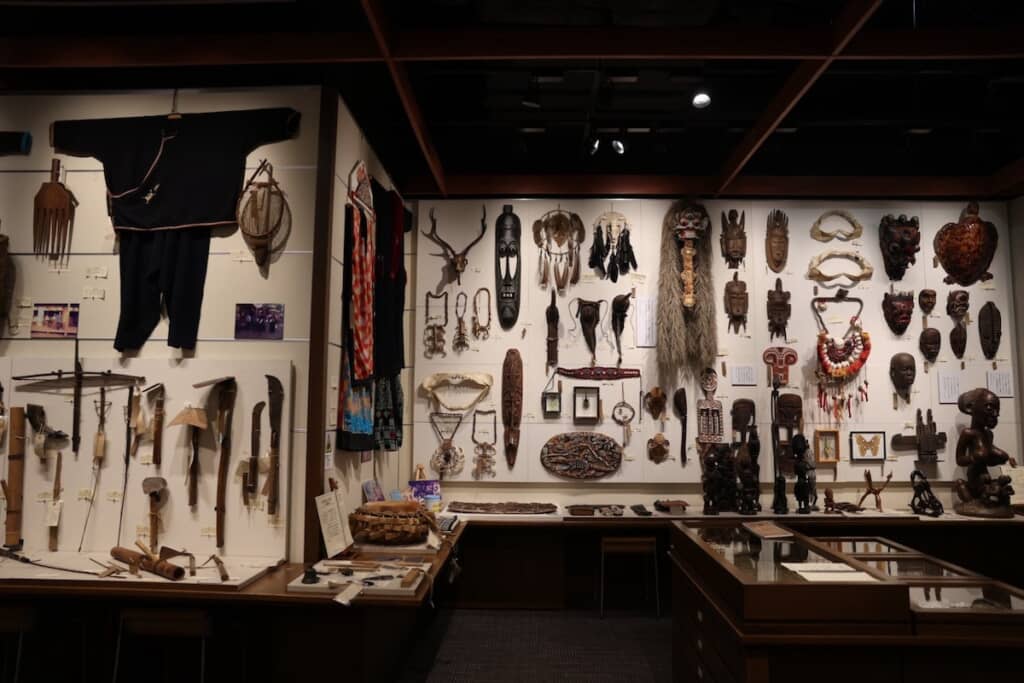 これらを直接触っていいとは……