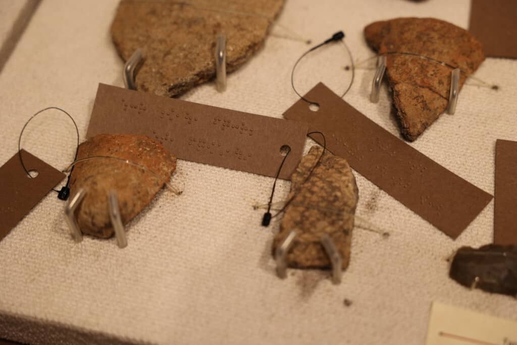 点字による標本ラベル付きで、全ての人が博物館を楽しめるように