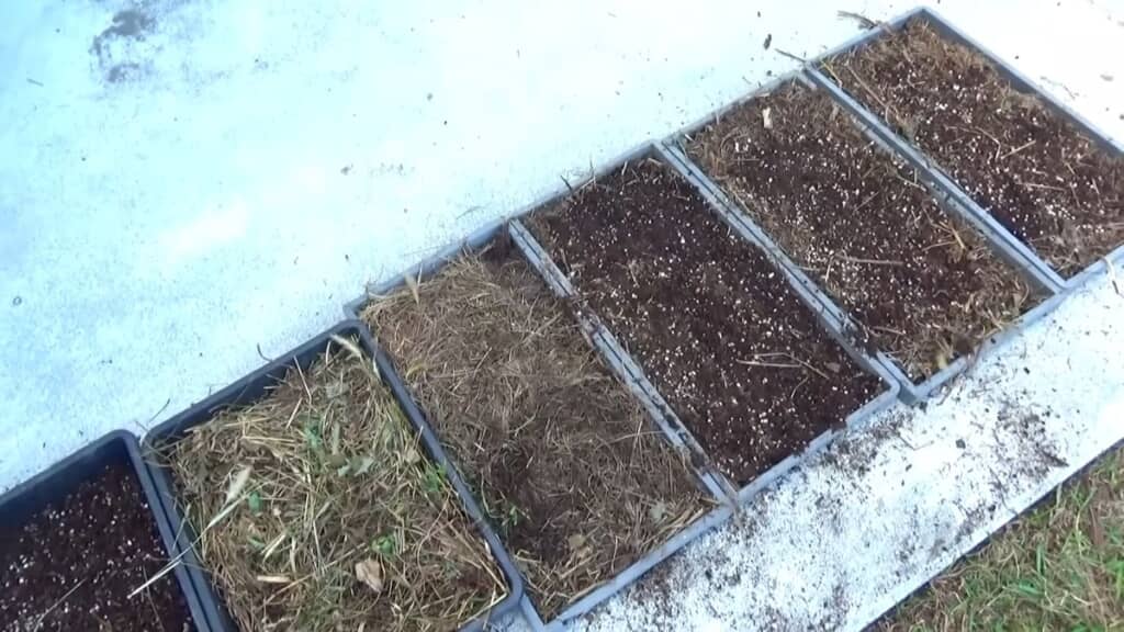 パレット内に作った草や土からなる土台