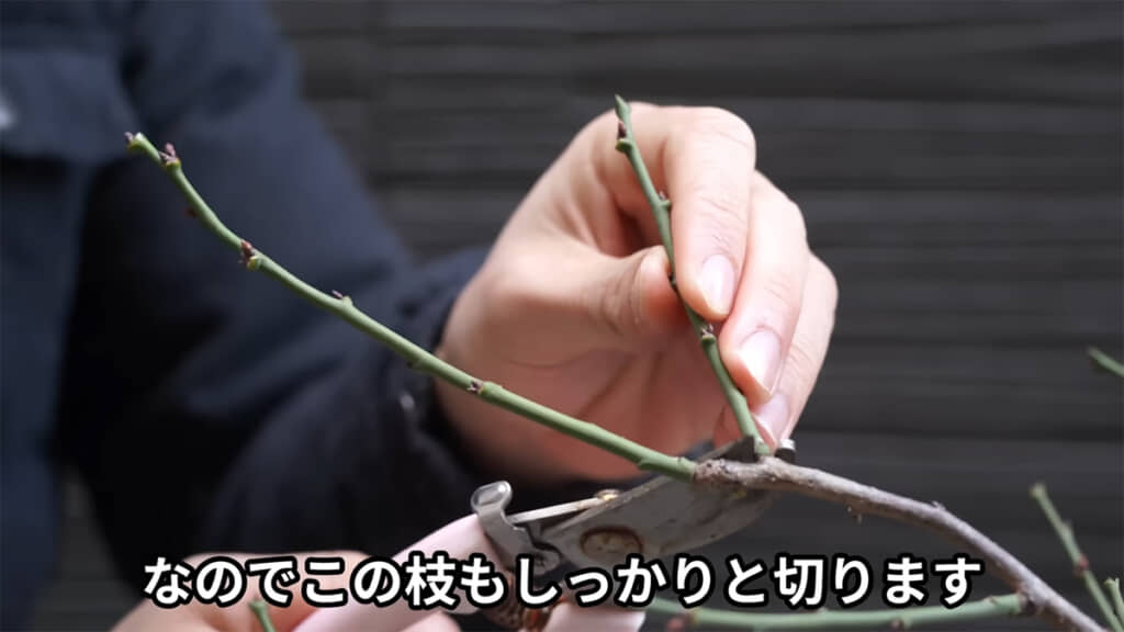 成長した時のことを考えて切っていきます