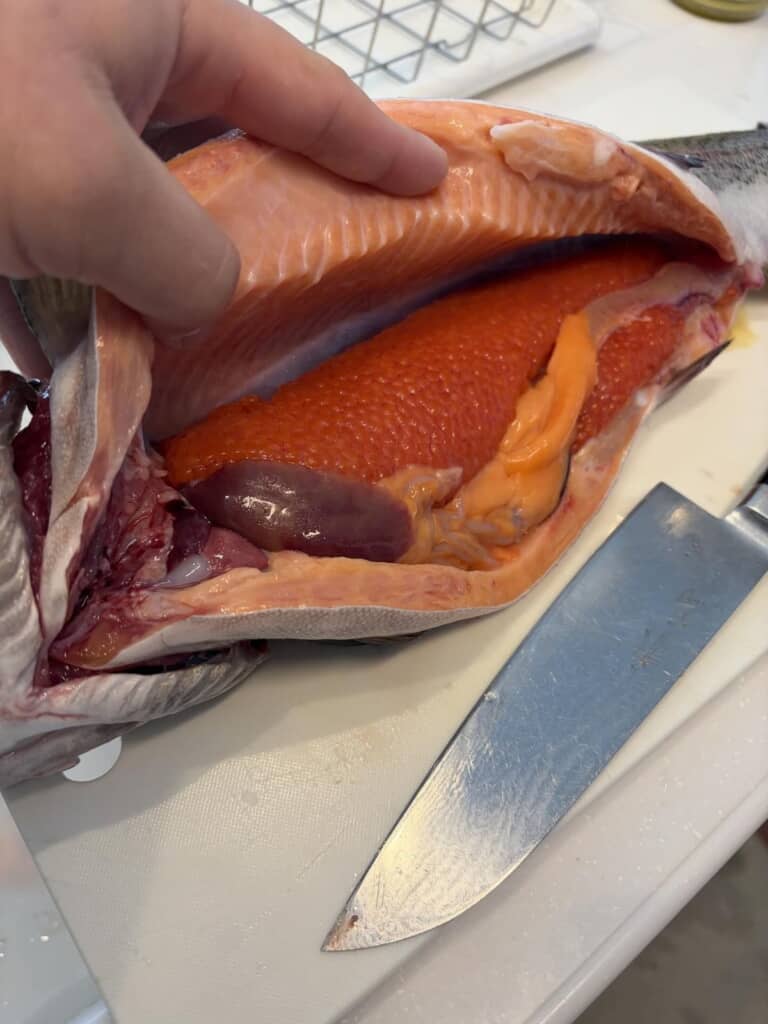 みらいサーモンの中にぎっしり詰まっている卵