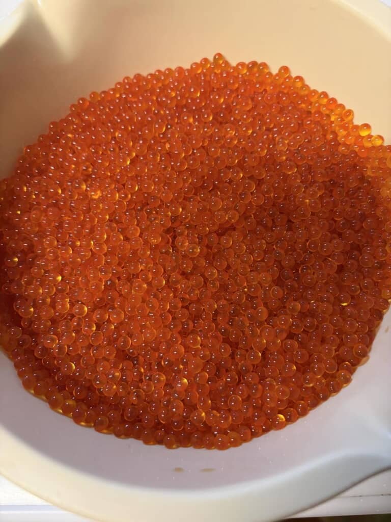 容器にあけた大量のイクラ