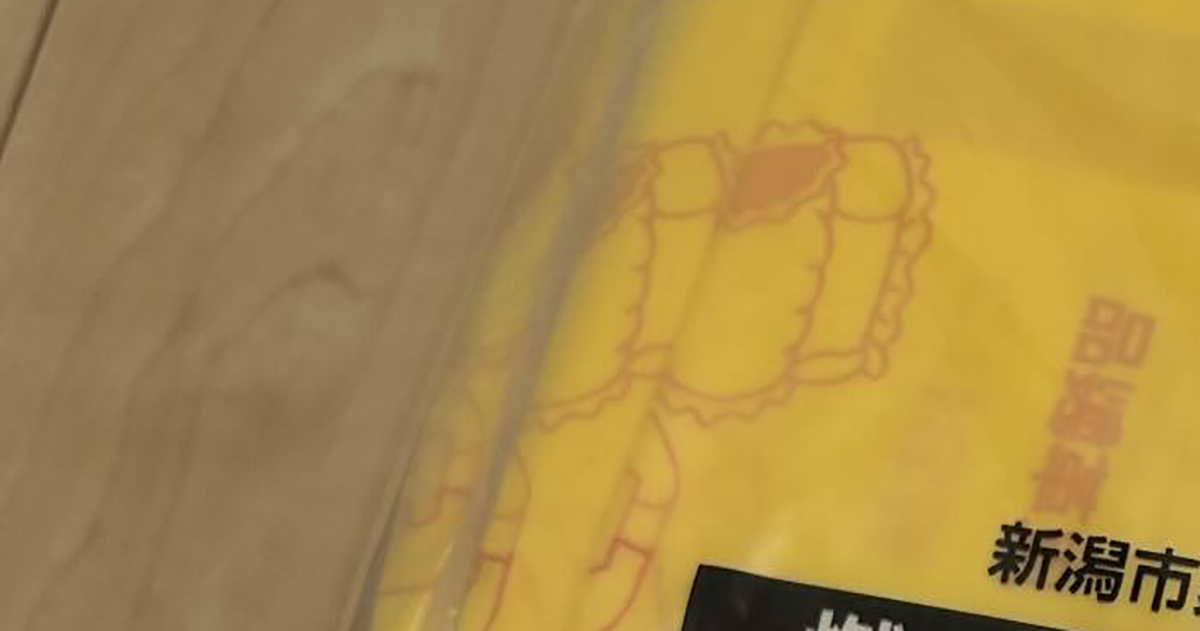 新潟市の取り組みに「すごく良い制度」「素晴らしすぎる」の声→赤ちゃんが産まれたママに届いた“まさかのもの”に「これはありがたい」「羨ましい」（1/2） | 育児 ねとらぼ