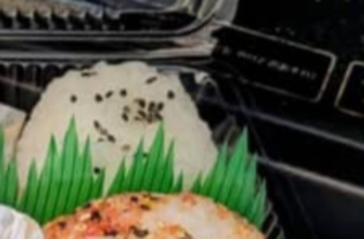 「食事の支度がつらい」79歳母へ、娘が弁当を届けたら……　驚きの“中身”に「お見事！」「この手の凝りよう」「親孝行ですね」（1/3） | ライフスタイル ねとらぼ