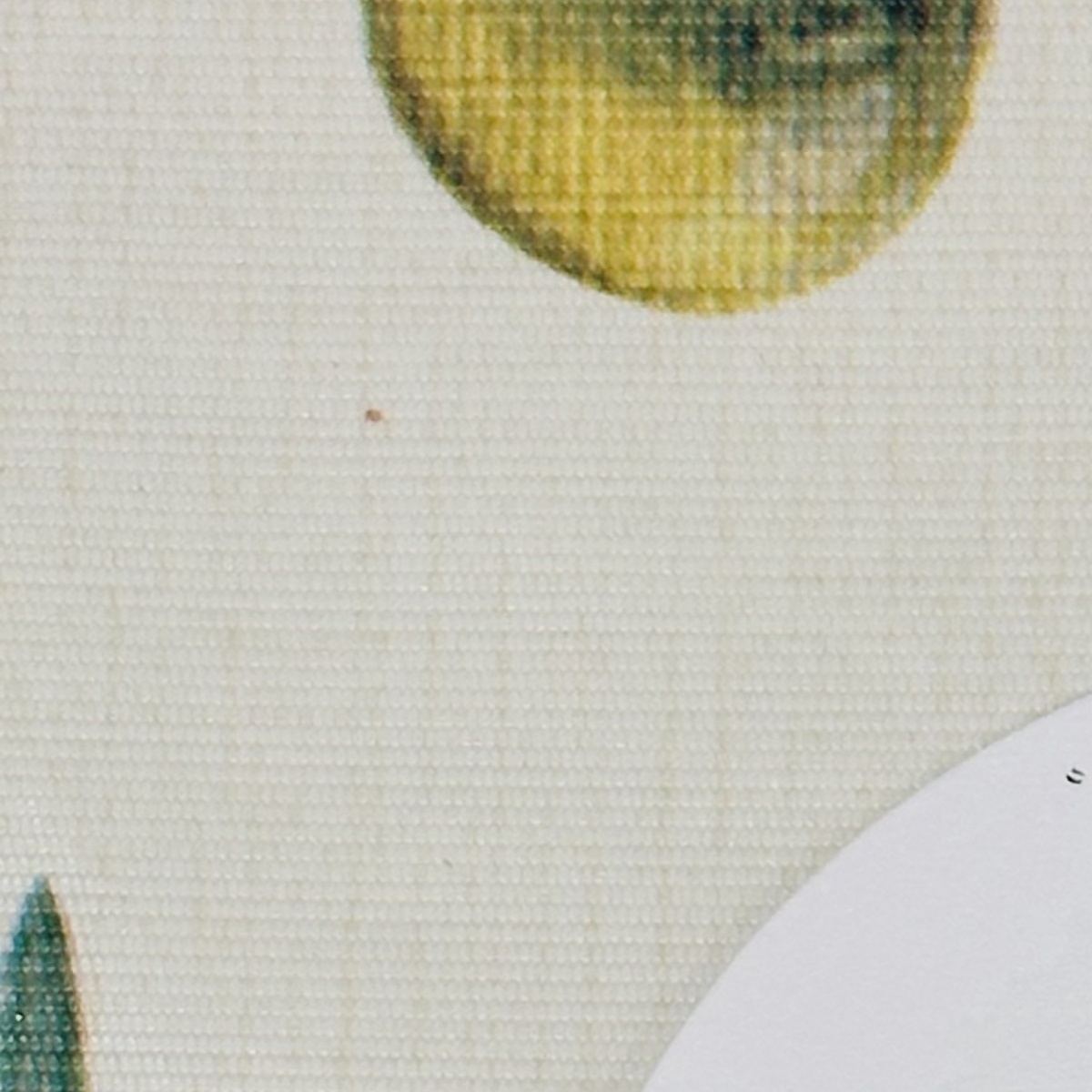 喫茶店でお客さんが帰ったあと、食器を下げに行くと……　店主が驚いた“まさかの光景”に「かっけえええ」「プロの仕業」（1/3） | ライフスタイル ねとらぼ