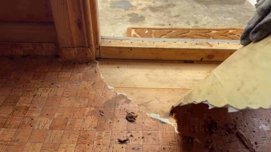 古い床材をはがします