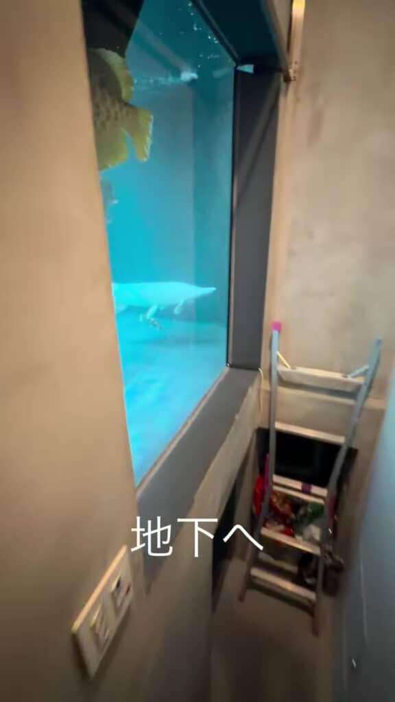 地下室に行く階段