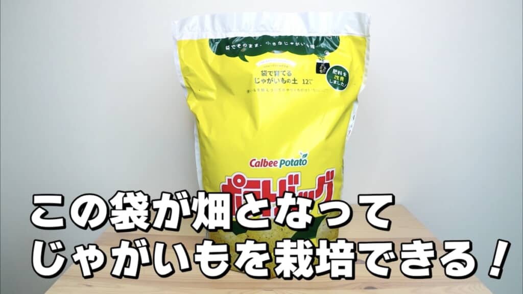 袋の中でじゃがいもを栽培できる「ポテトバッグ」を使用