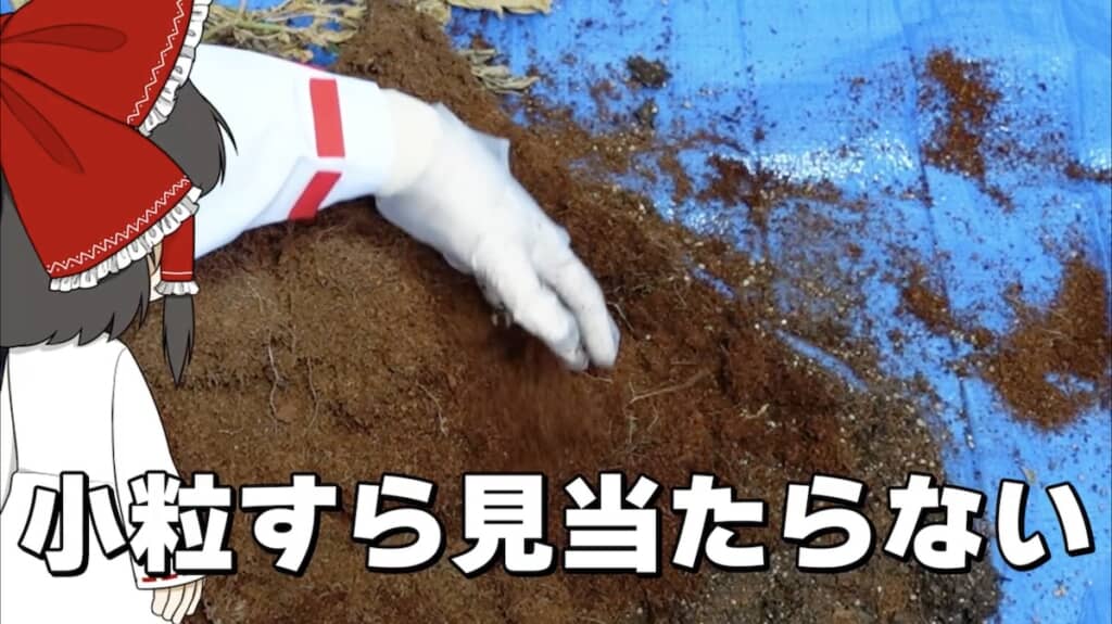 1つもじゃがいもが育ってない!?