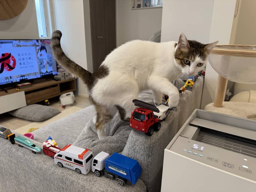 そろそろとソファを移動……！