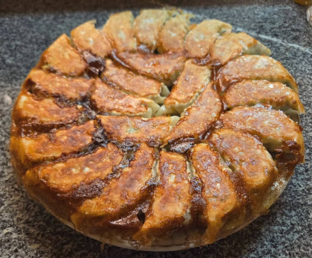 野菜多めの手作り羽付き餃子