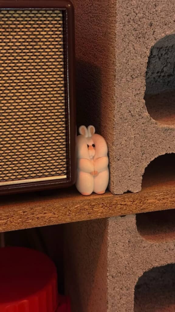 アンプと棚の隙間には、つぶれたウサギの置物が